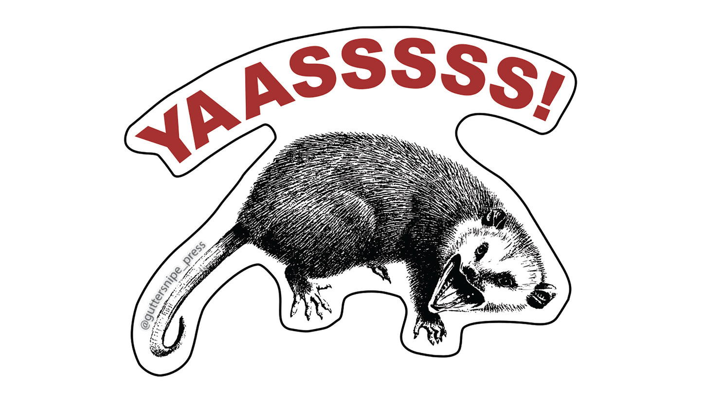 Yass Possum Sticker